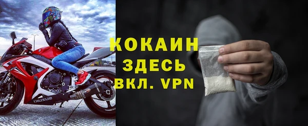соль ск Каменногорск