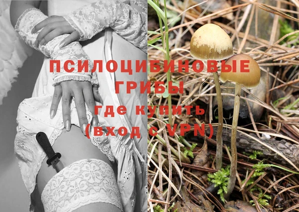 соль ск Каменногорск