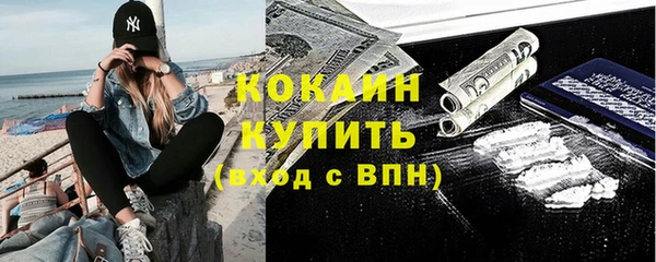 соль ск Каменногорск