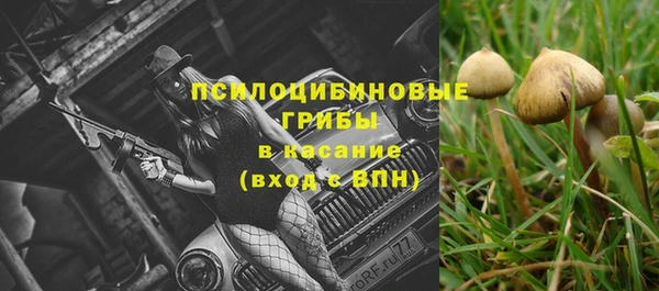 соль ск Каменногорск