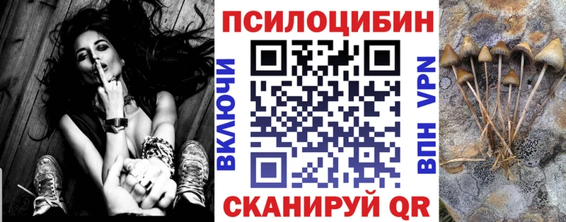 Псилоцибиновые грибы прущие грибы  Купить  Гуково 